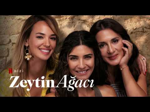 Zeytin Ağacı Romantik ve Dram Türündeki Netflix Dizisi İzle 2023
